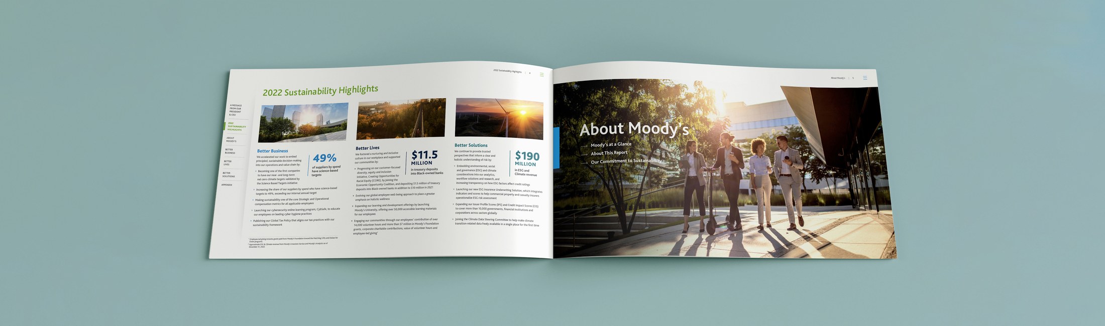 Moody’s project image 3