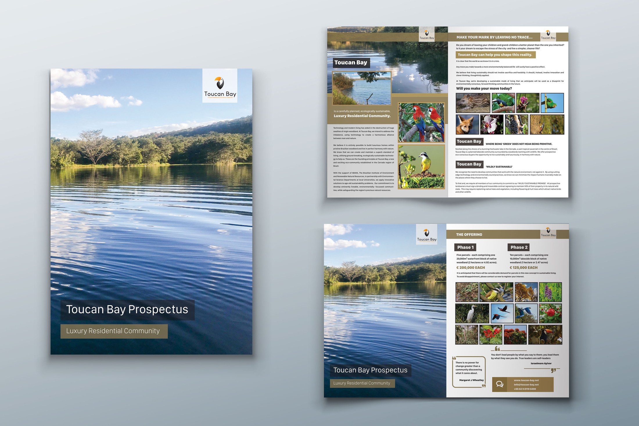 Toucan Bay prospectus design