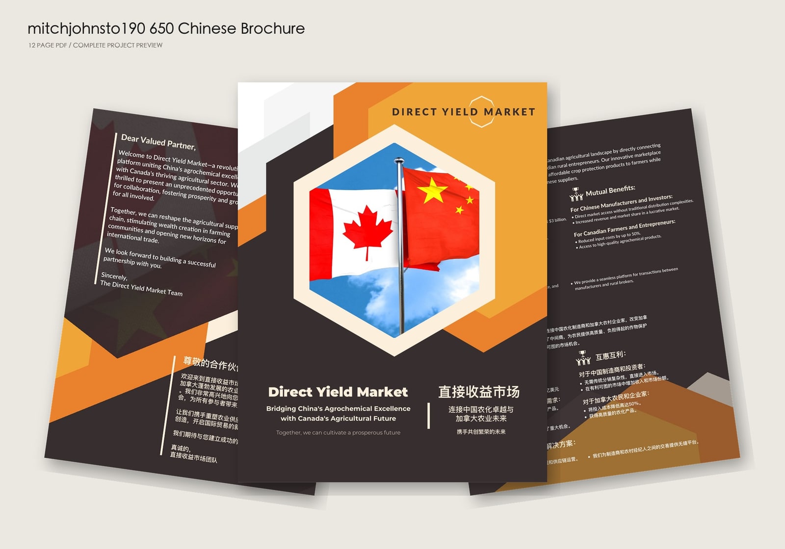 Direct Yield Market bilingual booklet presentation