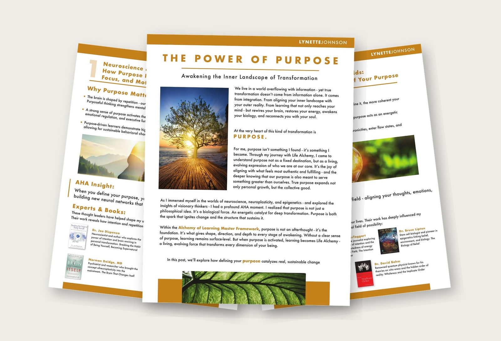 The Power of Purpose editorial booklet presentation